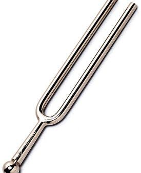 Wittner 922440SB Deluxe Tuning Fork A Cheap