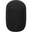 DPA Microphones DUA0020 Small Windscreen for 19mm Microphones (Dark Gray) Sale