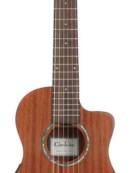 Cordoba MINI II MH-CE Acoustic Electric Guitar (Mahogany) Online now