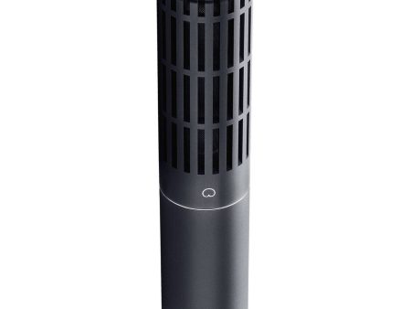 DPA Microphones 2011C Twin Diaphragm Cardioid Microphone (Compact) on Sale