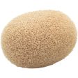 DPA Microphones DUA0531F Foam Windscreen for Headset - 5-Pack (Beige) Supply