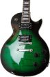 Axe Heaven GG-124 Slash Gibson Les Paul Standard 1:4 Scale Mini Guitar Model (Anaconda Burst) Cheap