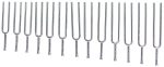 Wittner 924440-13 13 Tuning Forks Set Online Sale